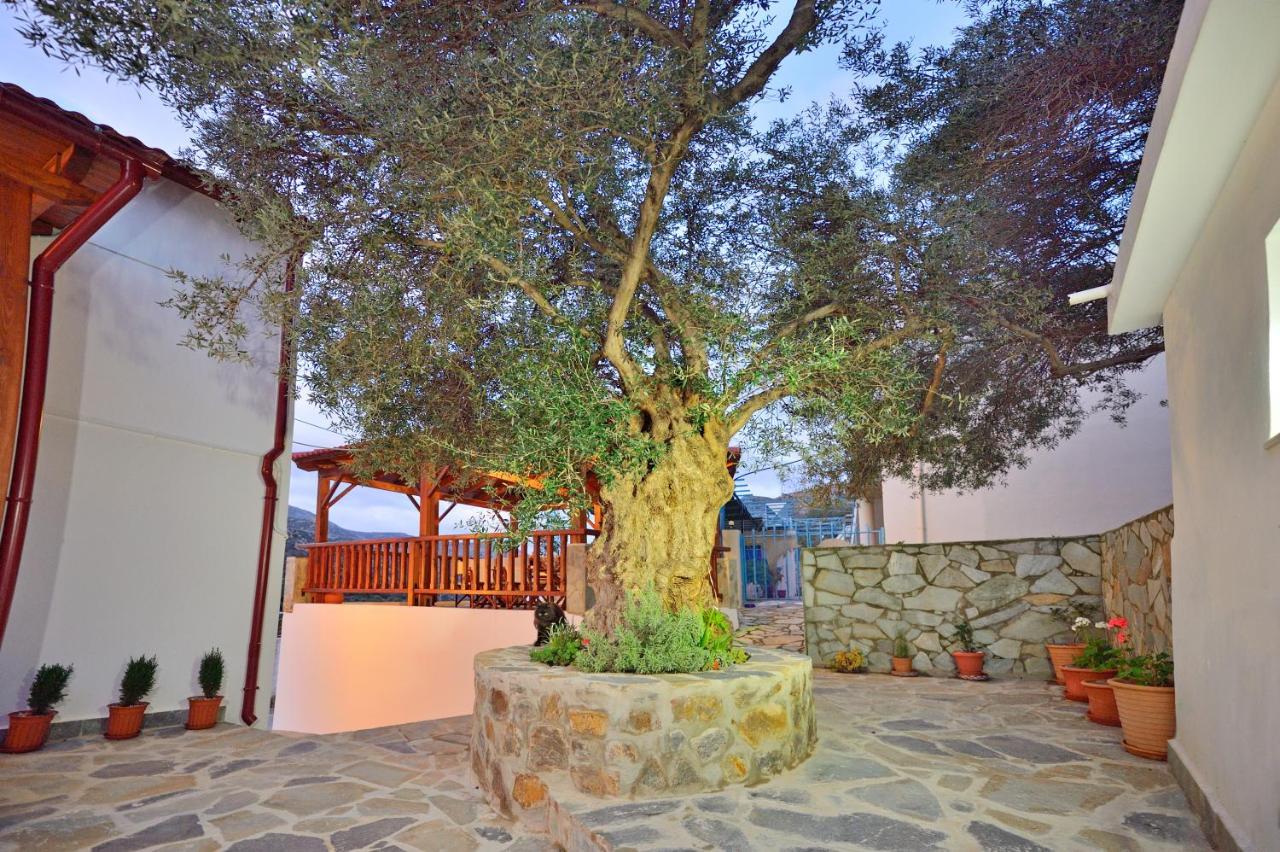 Villa Plokamos House Plokamianá Exterior foto